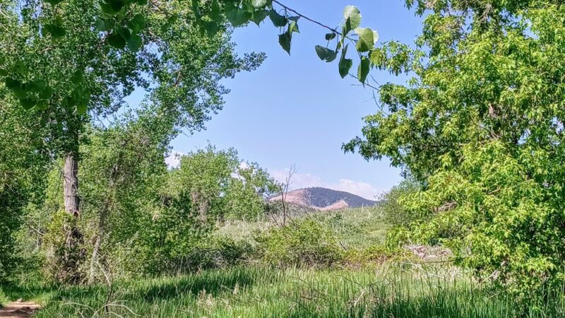 Bear Creek Park 1 - Denver, CO