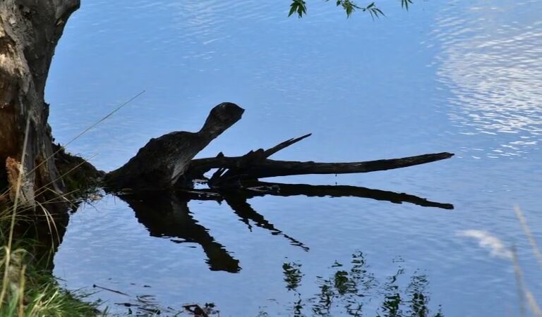 Bear Creek Park - Denver, CO