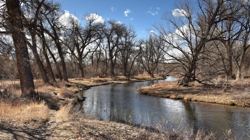 Bear Creek Park - Denver, CO