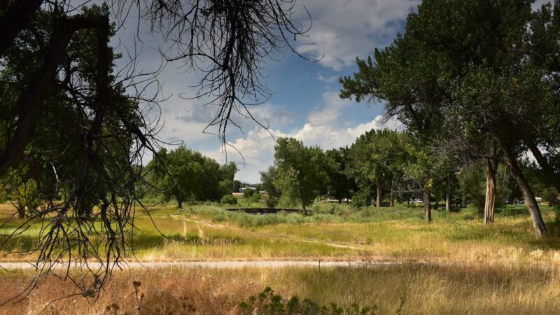 Bear Creek Park - Denver, CO