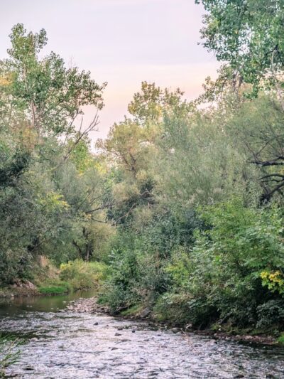 Bear Valley Park - Denver, CO