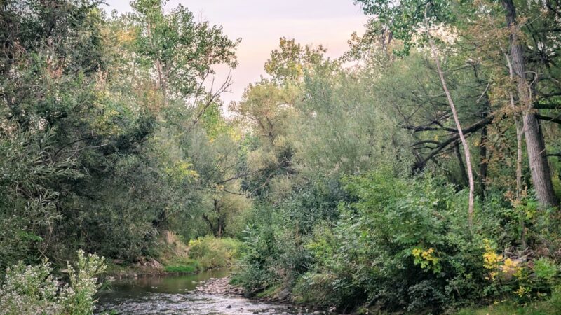 Bear Valley Park - Denver, CO