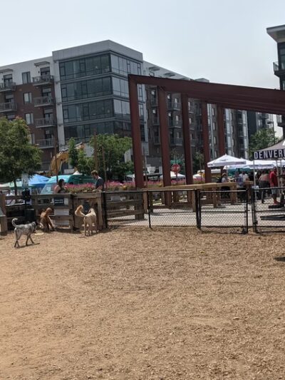 Belleview station dog park - Denver, CO