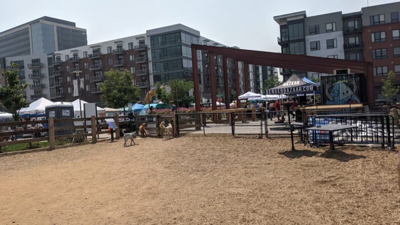 Belleview station dog park - Denver, CO