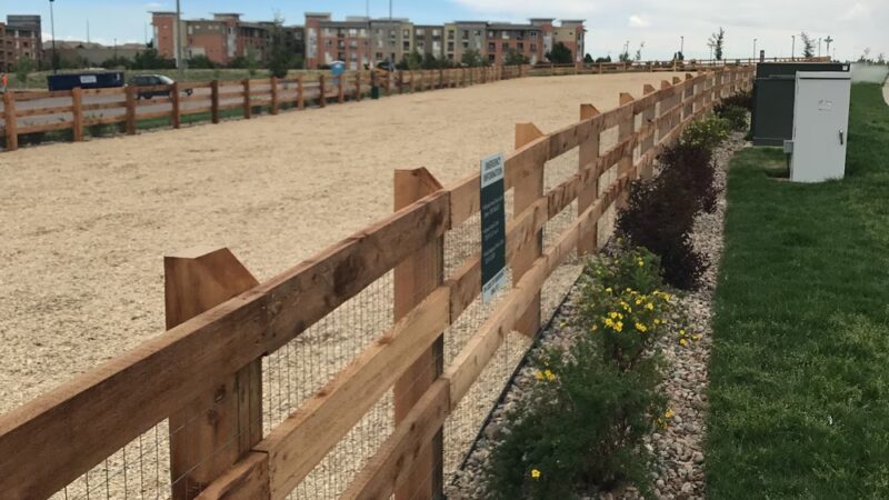 Belleview station dog park - Denver, CO