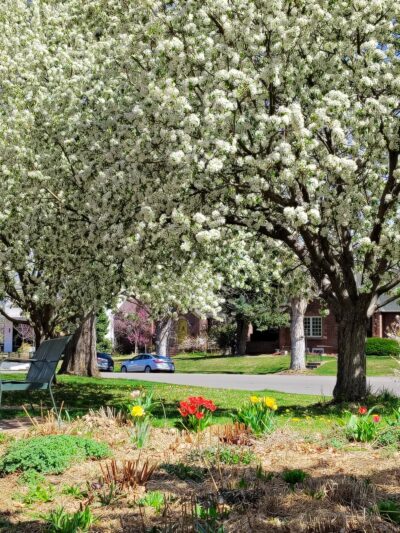 Bonnie Brae Park - Denver, CO