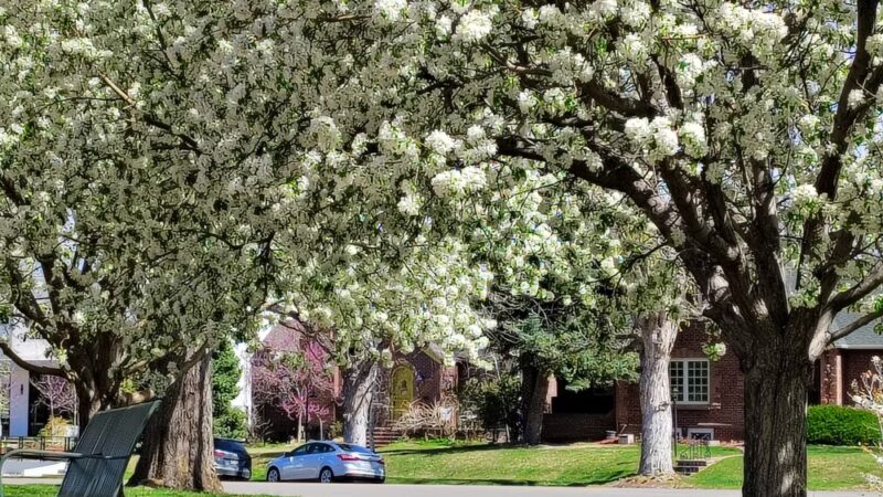 Bonnie Brae Park - Denver, CO