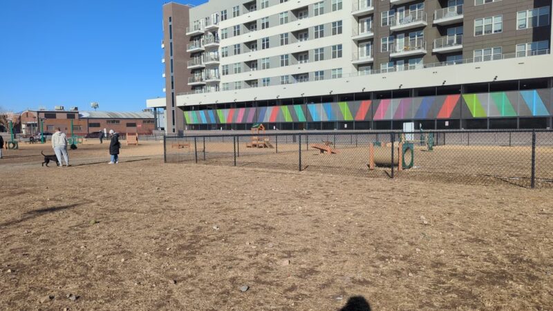 Broadway Bark. Dog park - Denver, CO