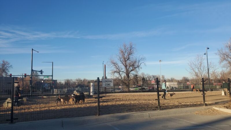 Carla Madison Dog Park - Denver, CO