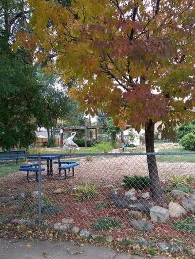 Cedar Park - Denver, CO