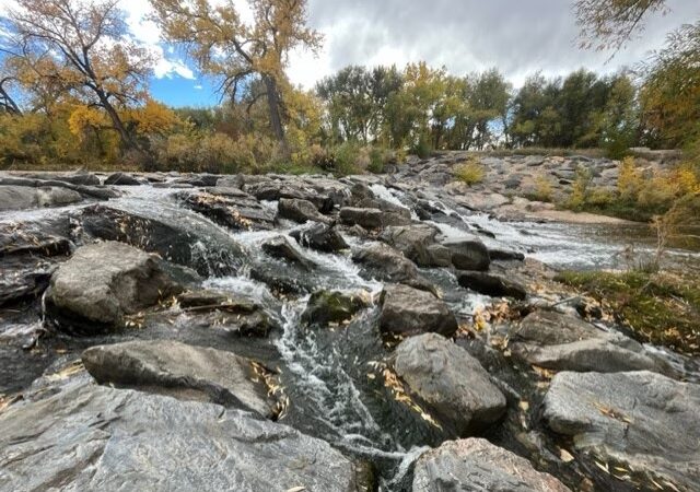 Cherry Creek Hike/Bike Path - Denver, CO
