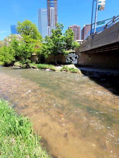 Cherry Creek Trail - Denver, CO