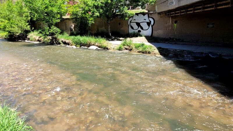 Cherry Creek Trail - Denver, CO