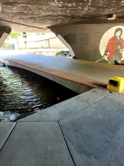 Cherry Creek Trail - Denver, CO