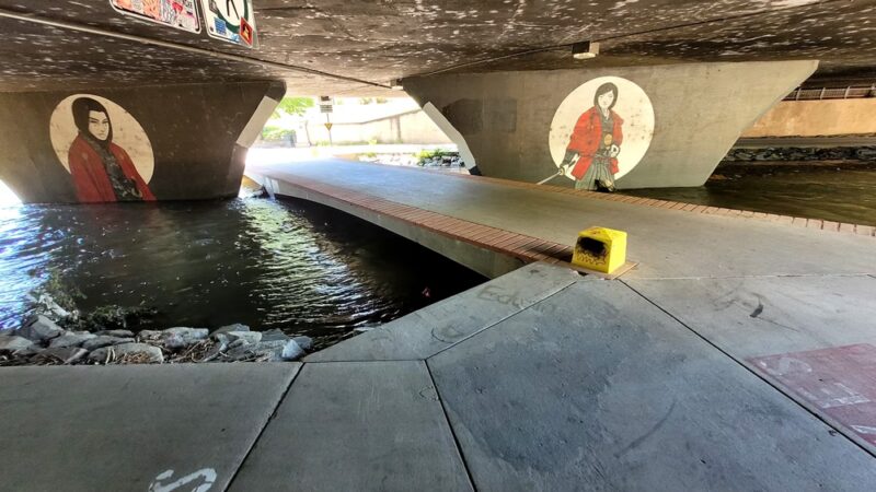 Cherry Creek Trail - Denver, CO