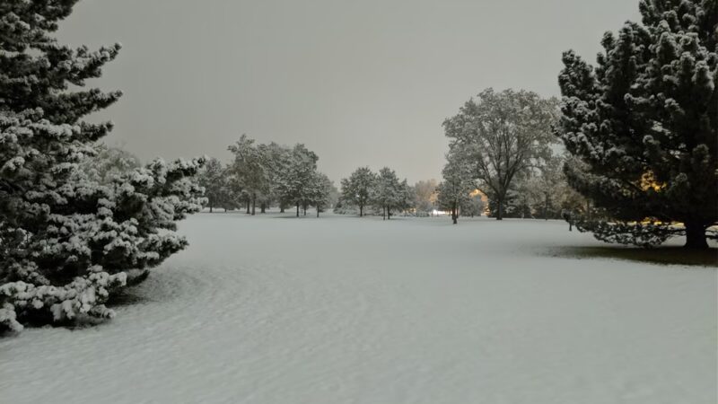 City of Brest Park - Denver, CO