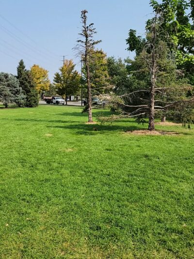 Commons Park - Denver, CO