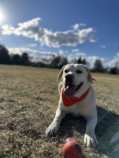 Cook Park - Denver, CO