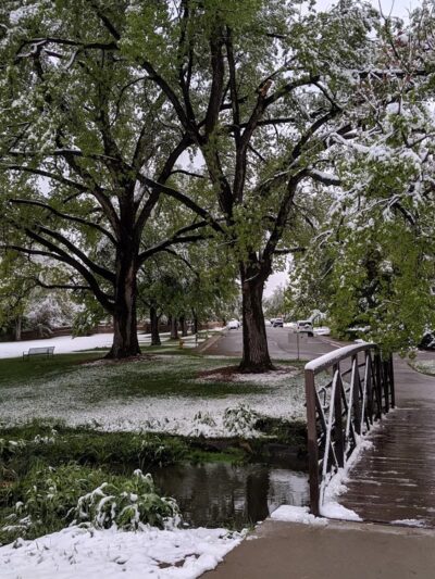 DeBoer Park - Denver, CO