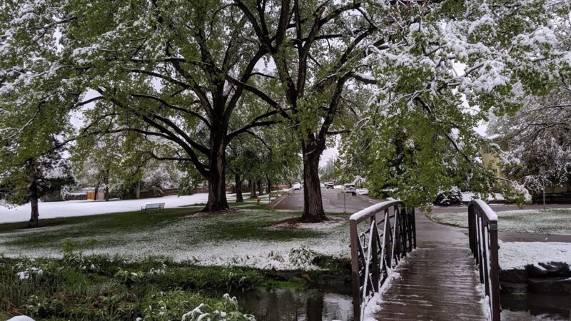 DeBoer Park - Denver, CO