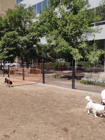 Dog off leash area - Denver, CO