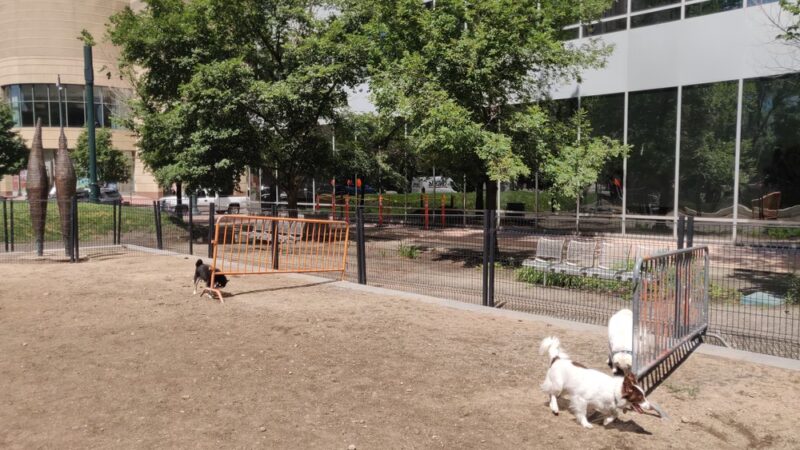 Dog off leash area - Denver, CO
