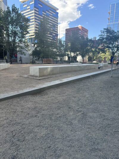Dog off leash area - Denver, CO