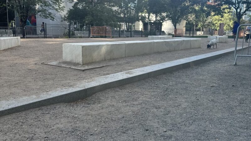 Dog off leash area - Denver, CO