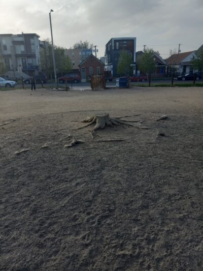 Dog Park - Denver, CO