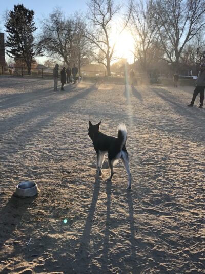 Fuller Park - Denver, CO