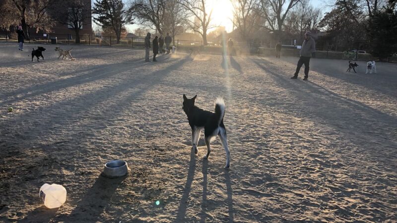 Fuller Park - Denver, CO