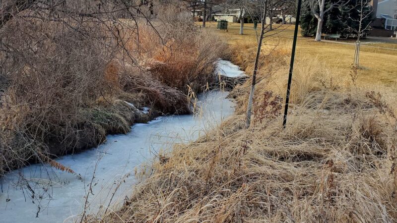 Goldsmith Gulch Trailhead - Denver, CO