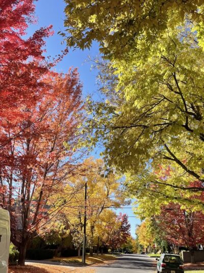 Governors Park - Denver, CO
