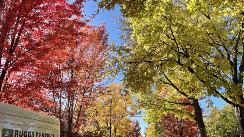 Governors Park - Denver, CO