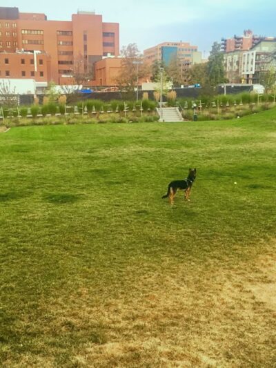 Hale Park - Denver, CO