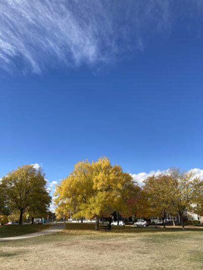 Hallack Park - Denver, CO