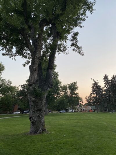 Highland Park - Denver, CO