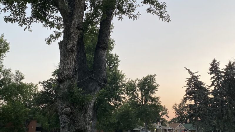 Highland Park - Denver, CO