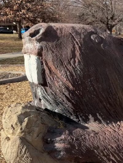 Hutchinson Park - Denver, CO