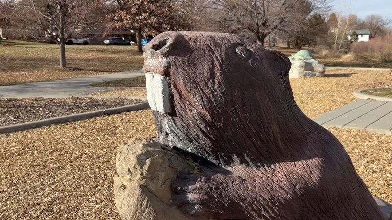 Hutchinson Park - Denver, CO