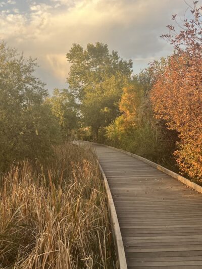 Hutchinson Park - Denver, CO