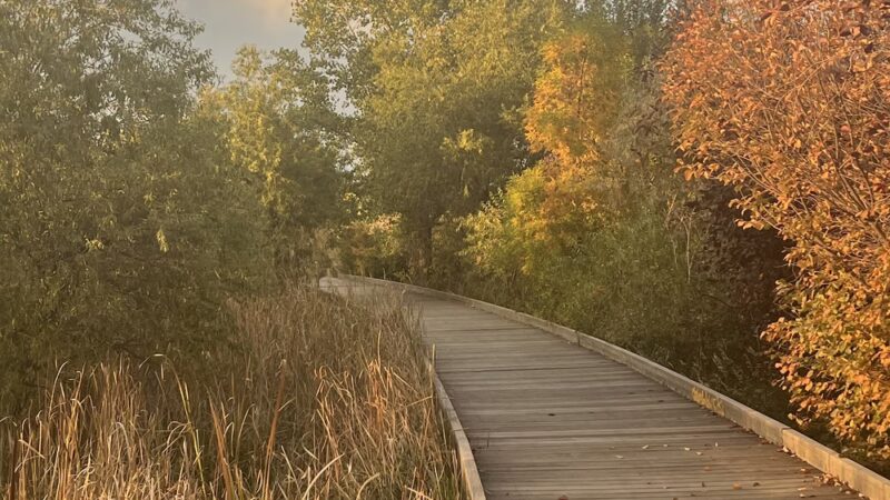 Hutchinson Park - Denver, CO