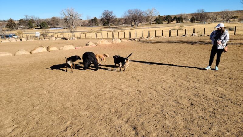 Kennedy Dog Park - Denver, CO