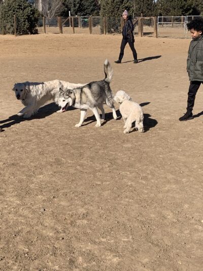 Kennedy Dog Park - Denver, CO