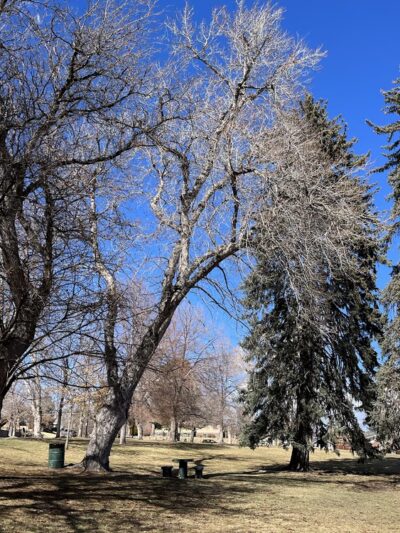 McDonough Park - Denver, CO