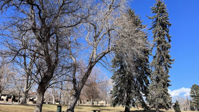 McDonough Park - Denver, CO