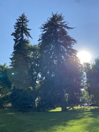 McDonough Park - Denver, CO