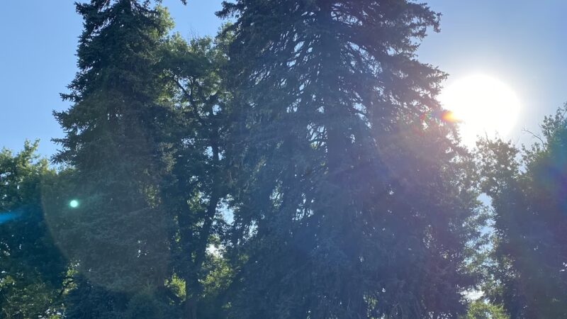 McDonough Park - Denver, CO