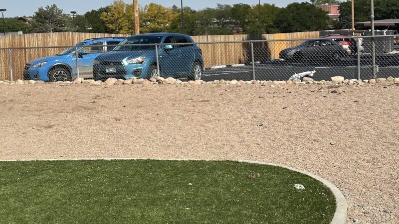 Mint Urban Dog Park - Denver, CO