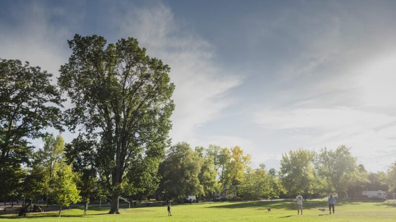 Pferdesteller Park - Denver, CO